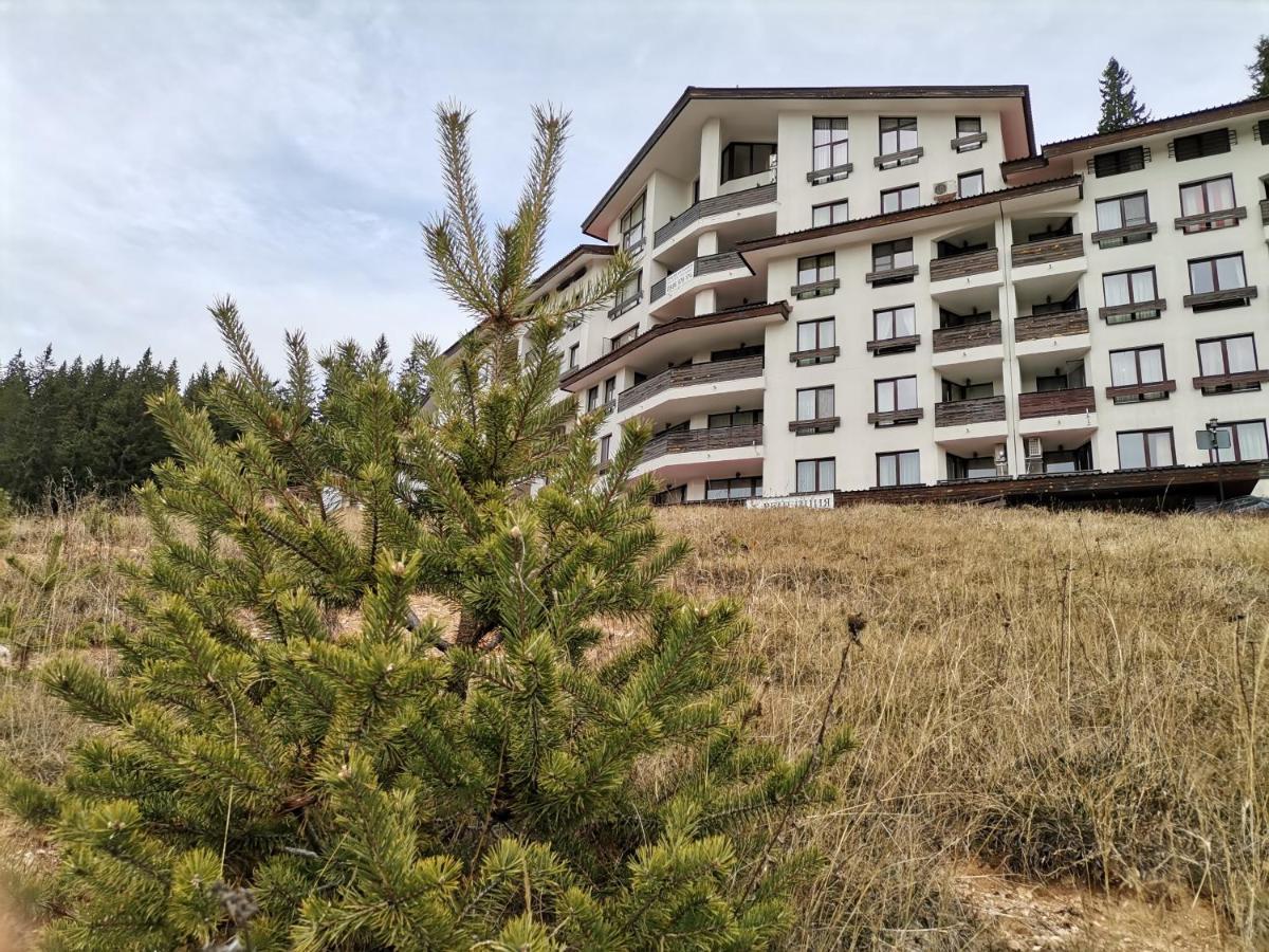 Apartment Ana/ Апартамент Ана パンポロボ エクステリア 写真