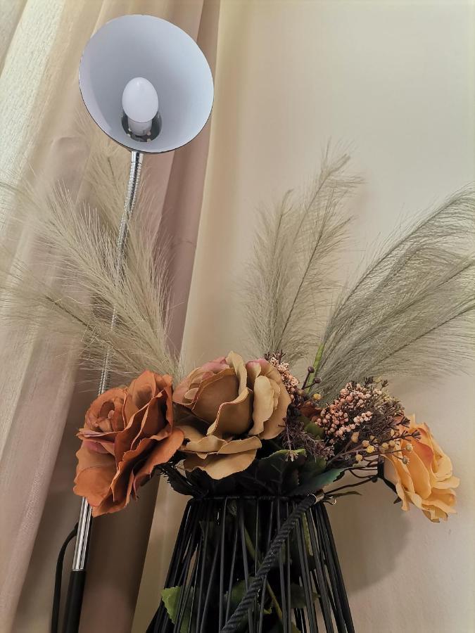 Apartment Ana/ Апартамент Ана パンポロボ エクステリア 写真